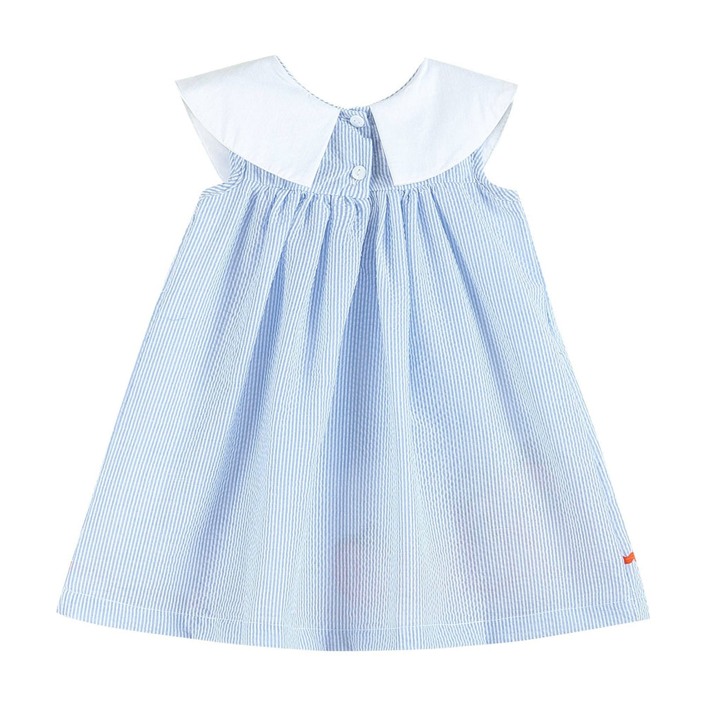 Back view of The Pumpkin Patch Dress with white collar
