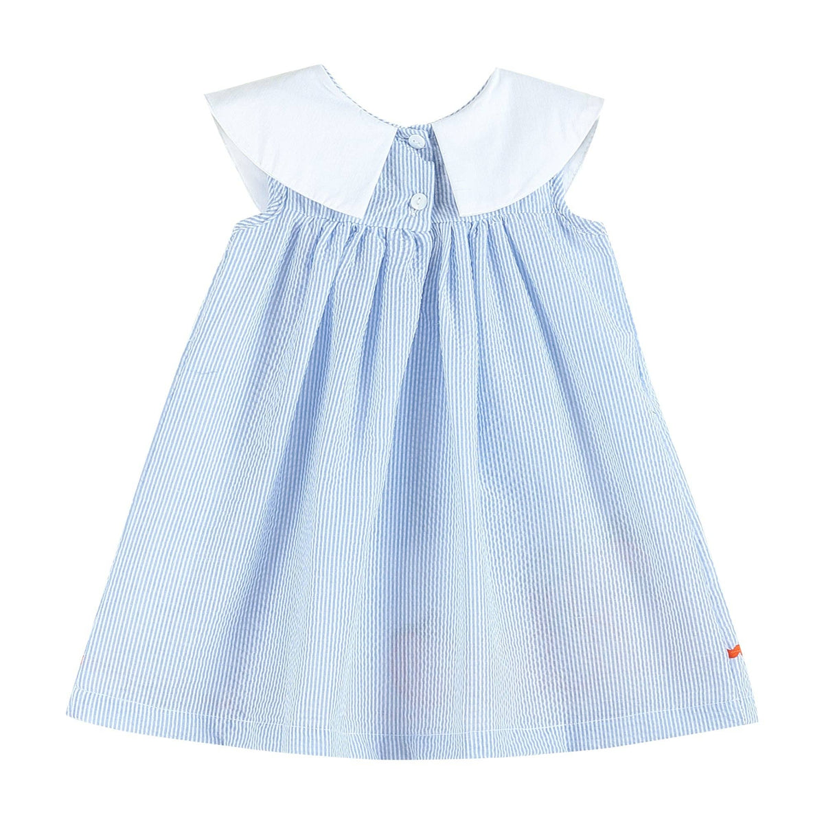 Back view of The Pumpkin Patch Dress with white collar